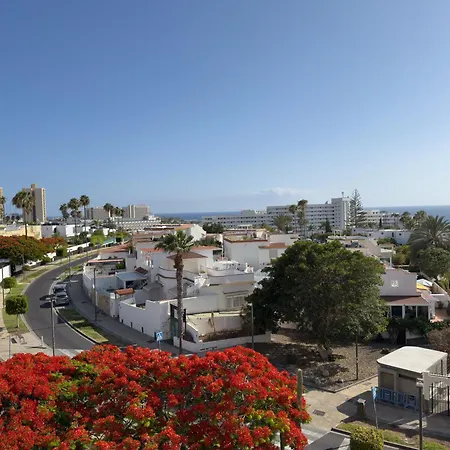 Apartament Piso Agaves *