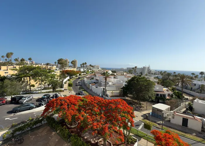 Piso Agaves * 阿德耶