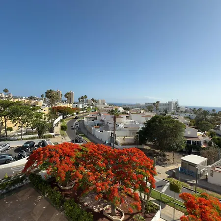 Piso Agaves * Costa Adeje (Tenerife)